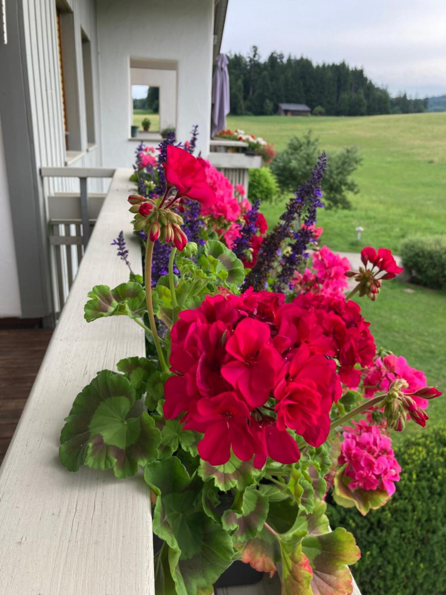 Ferienwohnungen Allgaeu-Bodensee Sigmarszell Exterior photo